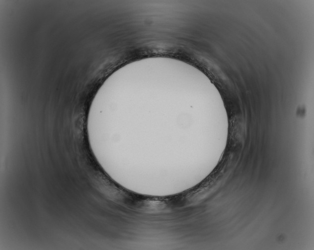 X0000101390509200807280941