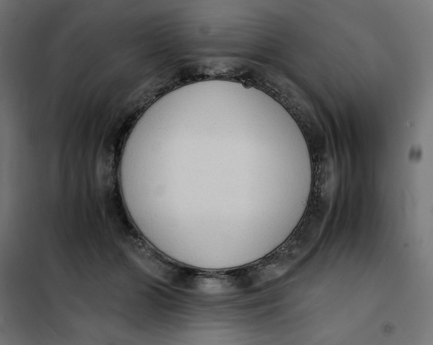 X0000101390510200807280941