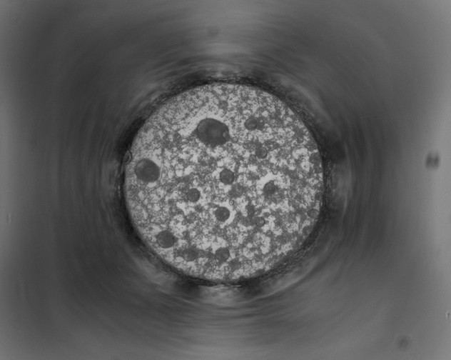 X0000101390511200807280941
