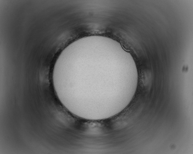 X0000101390512200807280941