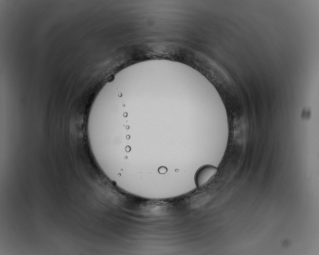 X0000101390514200807280941