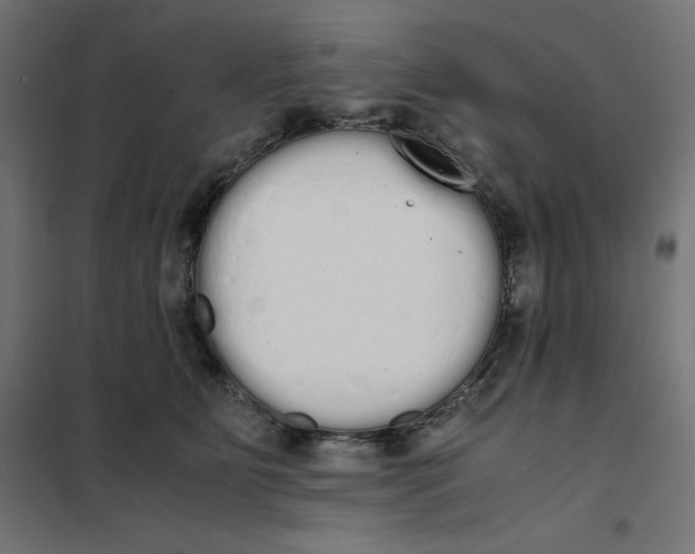 X0000101390515200807280940