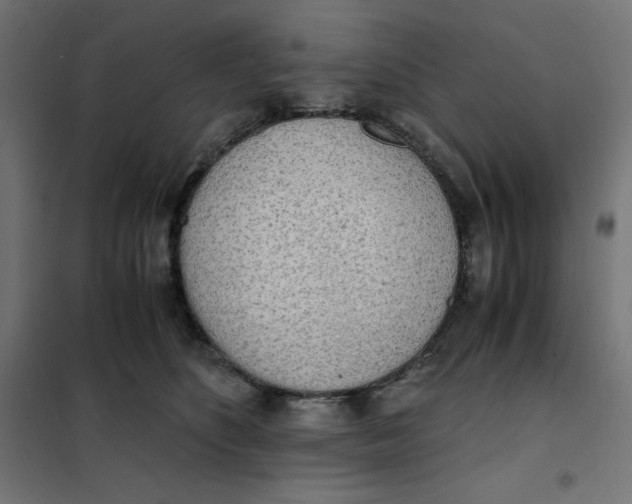 X0000101390516200807280940