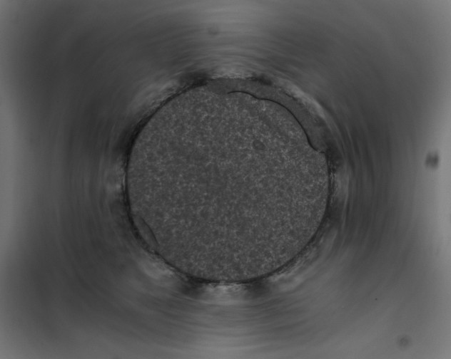 X0000101390517200807280940