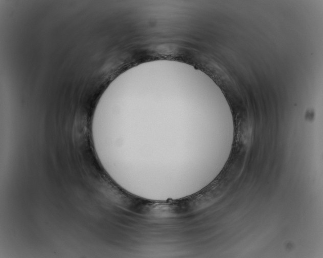 X0000101390518200807280940