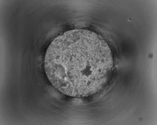 X0000101390519200807280940