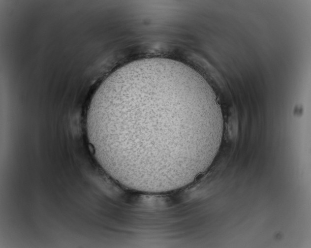 X0000101390520200807280940