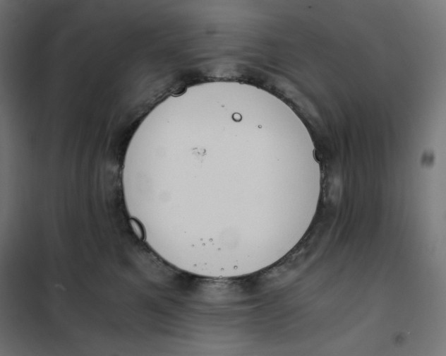 X0000101390521200807280940