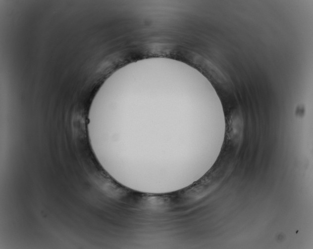 X0000101390522200807280940