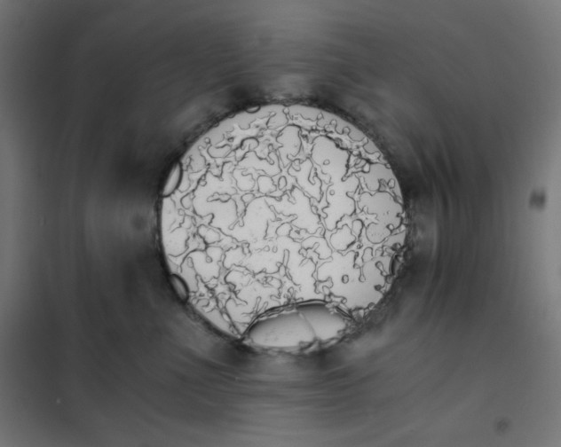 X0000101390523200807280940