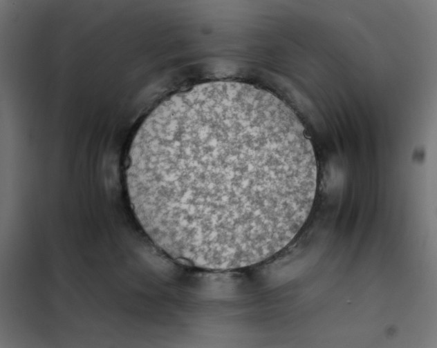 X0000101390524200807280940