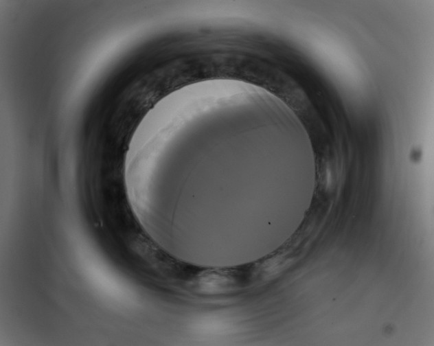 X0000101390526200807280940