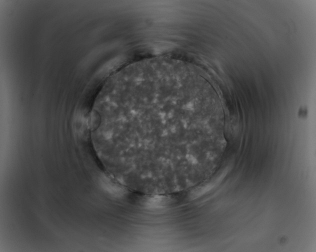 X0000101390527200807280940