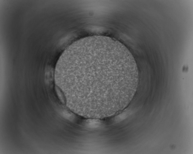 X0000101390528200807280940