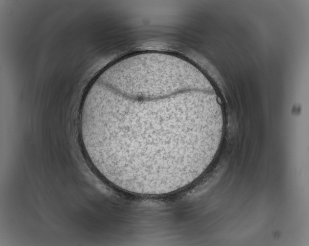 X0000101390529200807280940