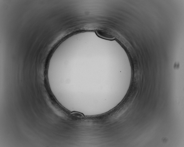 X0000101390530200807280940