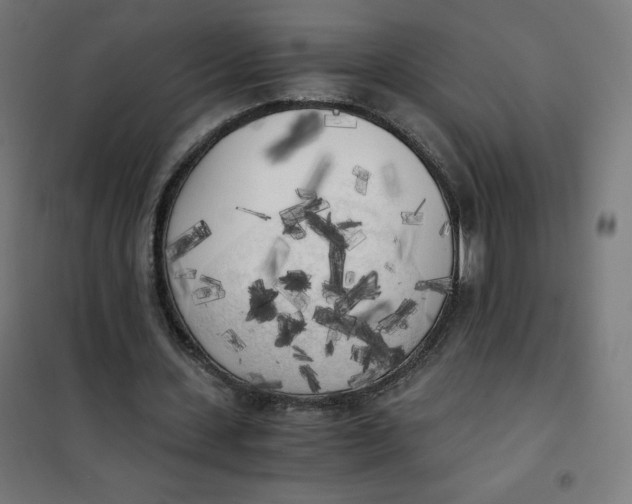 X0000101390531200807280940