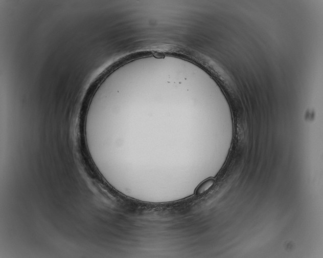 X0000101390532200807280940