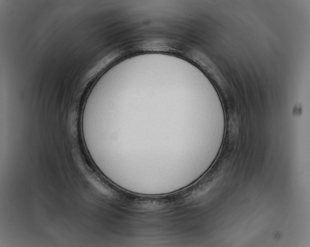 X0000101390533200807280940