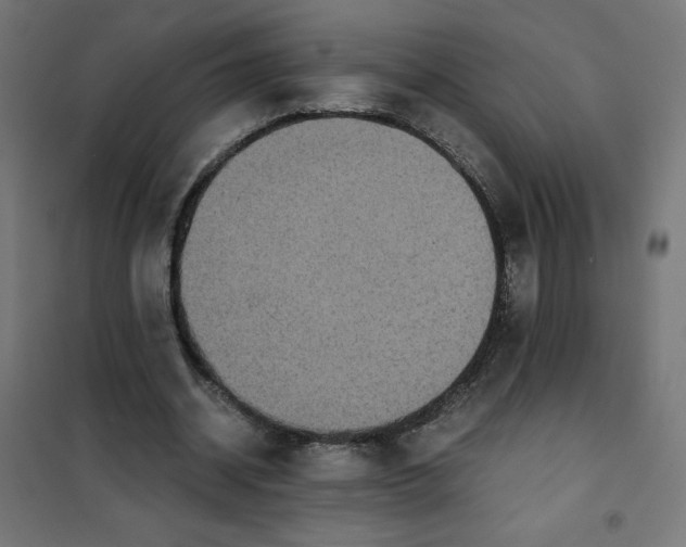 X0000101390534200807280940