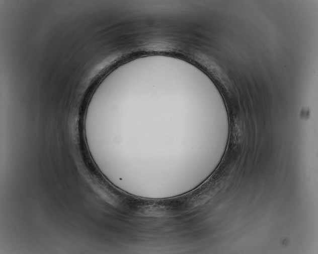 X0000101390535200807280940