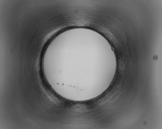 X0000101390536200807280940