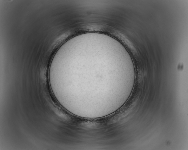 X0000101390537200807280940