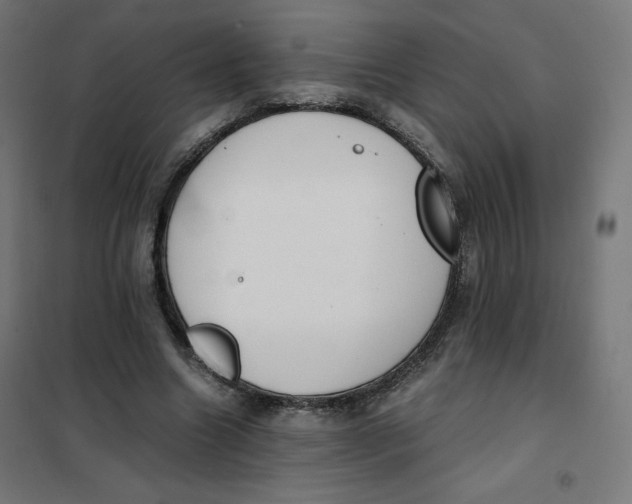 X0000101390538200807280940