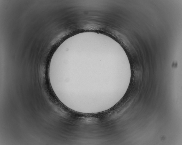 X0000101390539200807280940