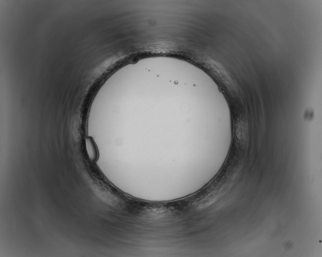 X0000101390540200807280940
