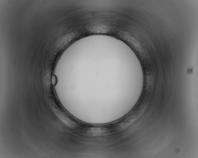 X0000101390541200807280940