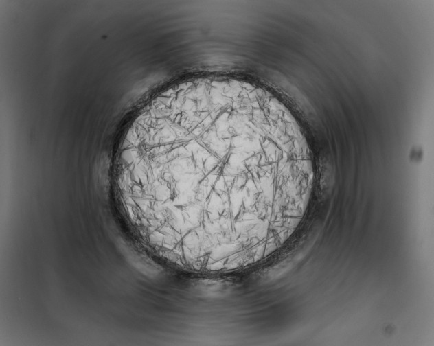 X0000101390542200807280940