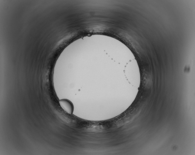 X0000101390543200807280940