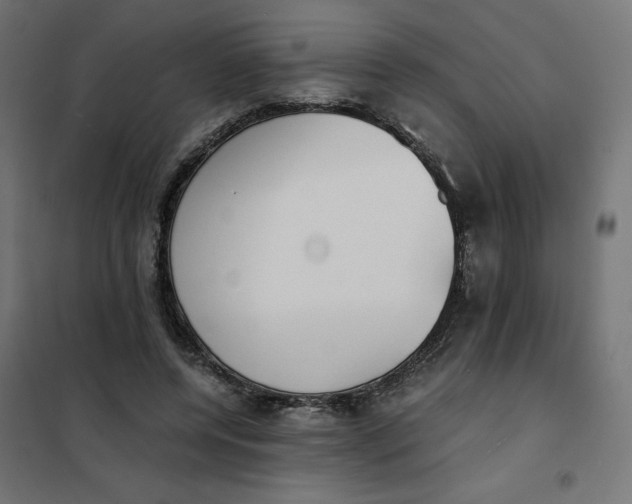 X0000101390544200807280940