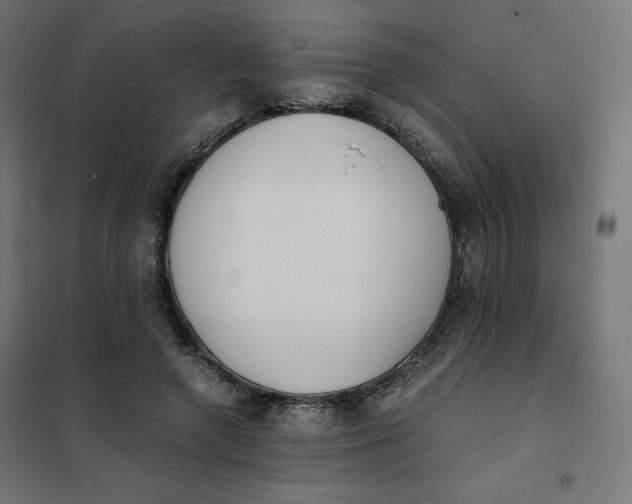 X0000101390546200807280940
