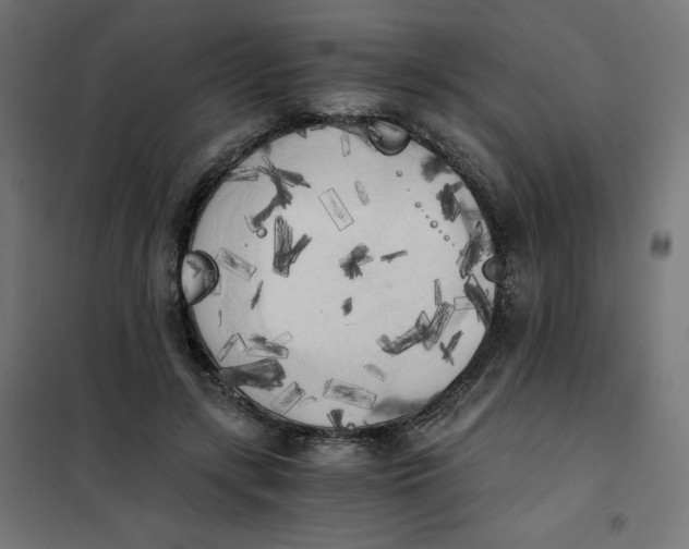 X0000101390547200807280940