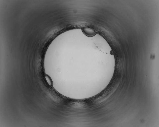 X0000101390548200807280940