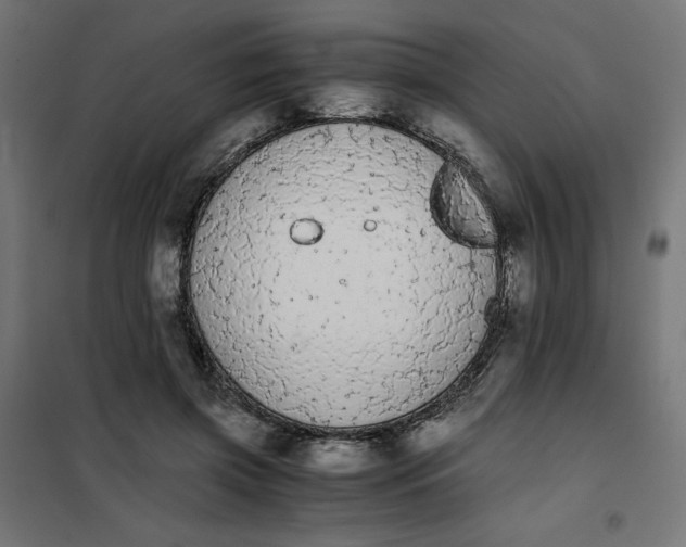X0000101390549200807280940