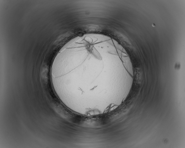 X0000101390550200807280940