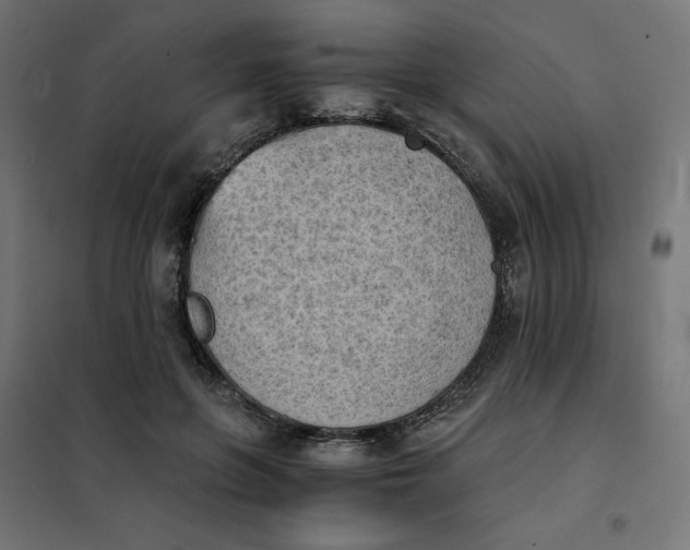 X0000101390551200807280940