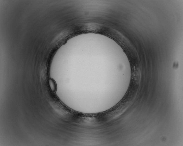 X0000101390552200807280940