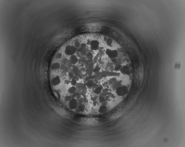 X0000101390553200807280940