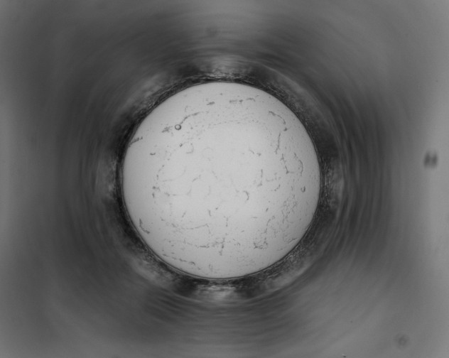 X0000101390554200807280940