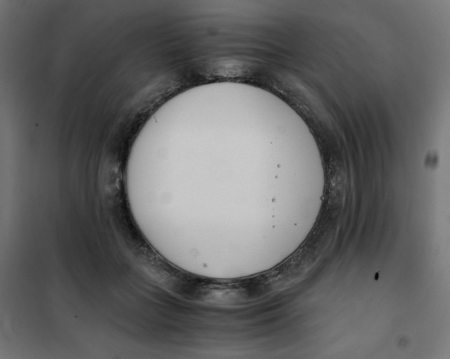 X0000101390555200807280940