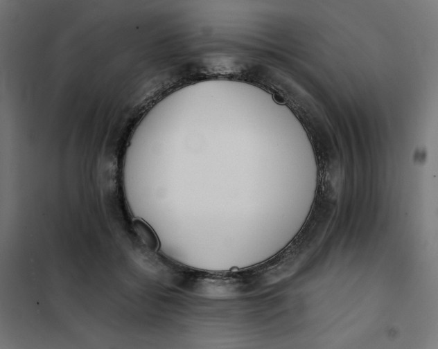 X0000101390556200807280940