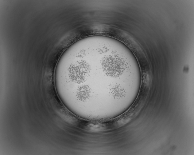 X0000101390557200807280940