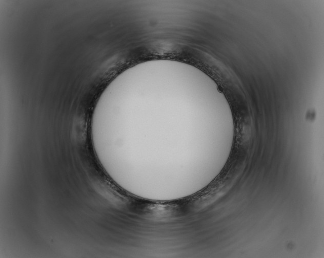 X0000101390558200807280940