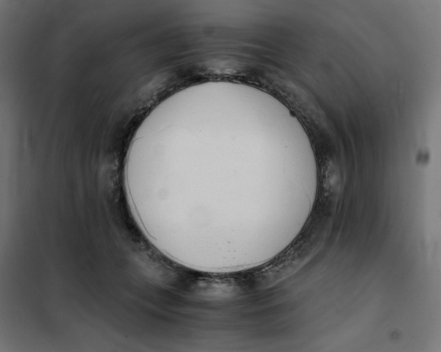 X0000101390559200807280940