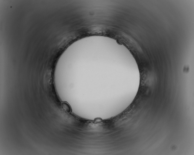 X0000101390560200807280940