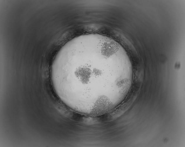 X0000101390561200807280940